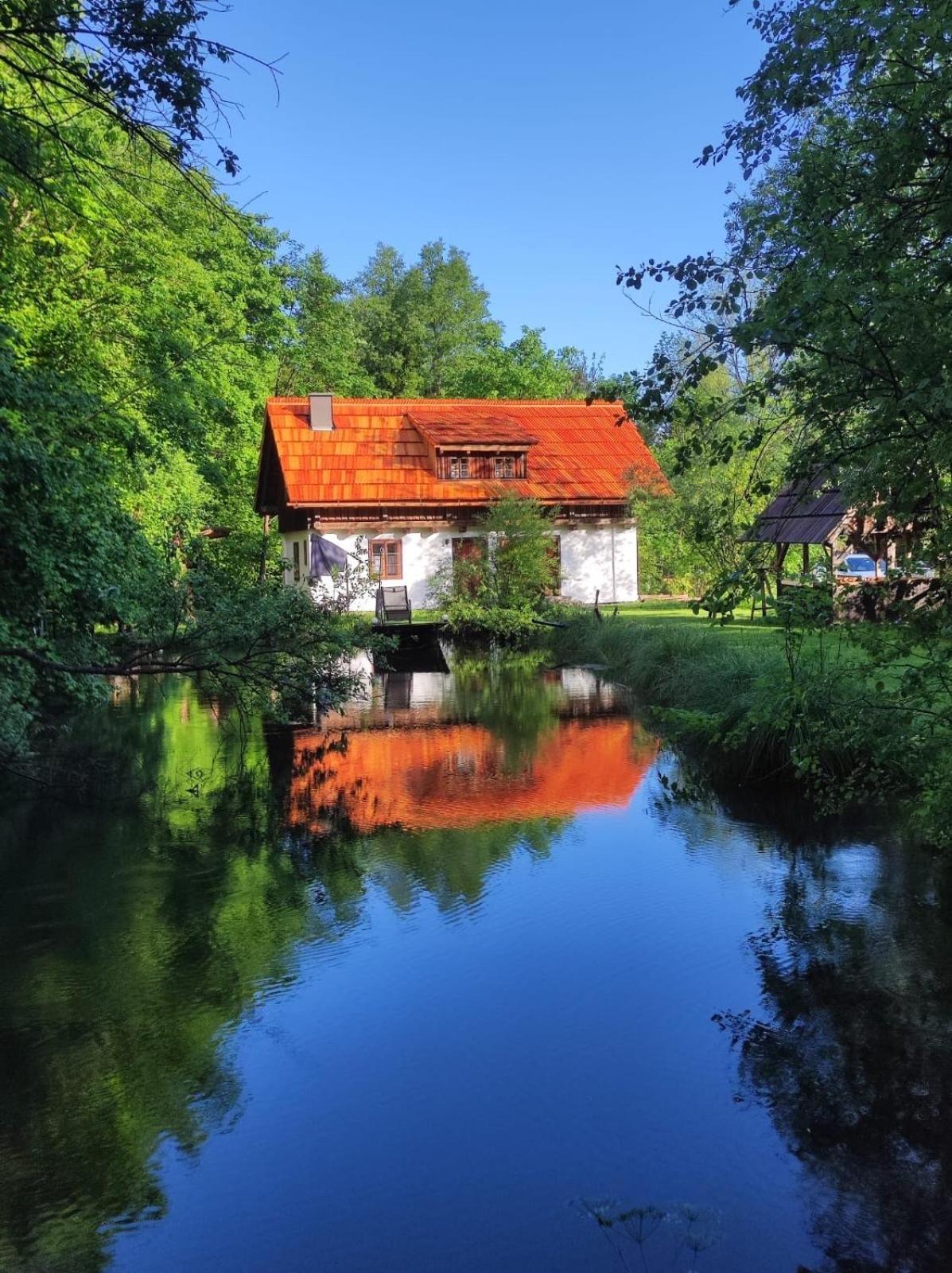 Ferienhaus Klopeinersee Kaernten Sittersdorf Zewnętrze zdjęcie